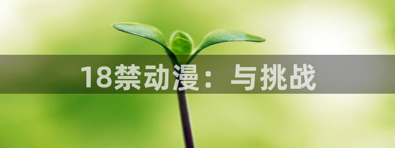 汗汗漫画在线哪里看：18禁动漫：与挑战配图