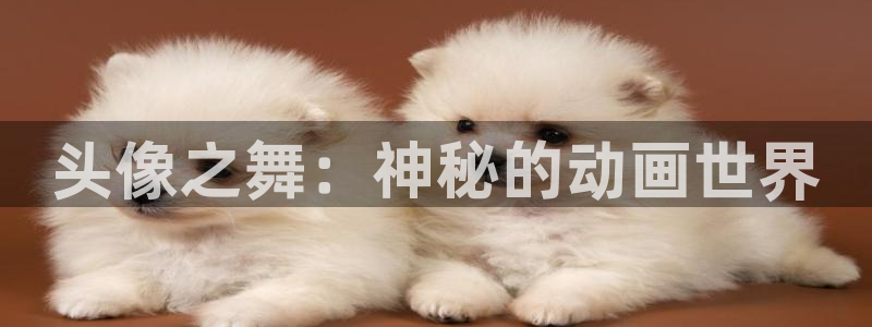 汗汗漫画完整版在线阅读：头像之舞：神秘的动画世界配图