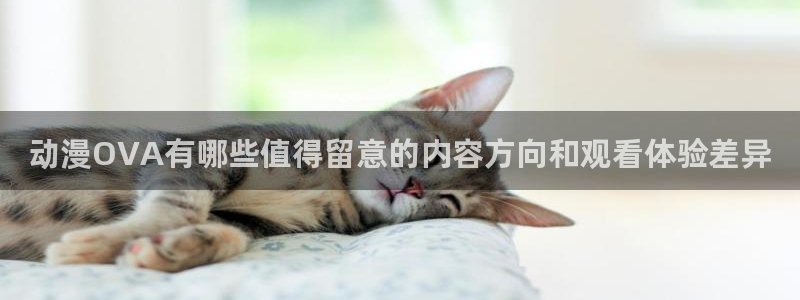 汗汗漫画今日推荐：动漫OVA有哪些值得留意的内容方向和观看体验差异配图