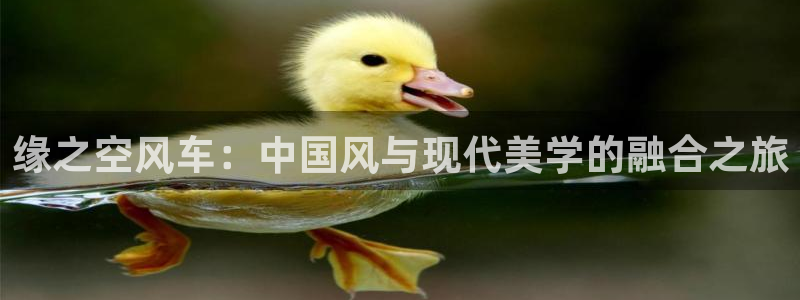 汗汗漫画排行：缘之空风车：中国风与现代美学的融合之旅配图