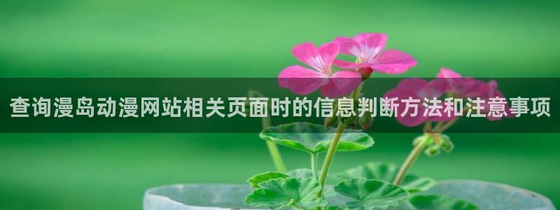 汗汗漫画新作榜：查询漫岛动漫网站相关页面时的信息判断方法和注意事项配图