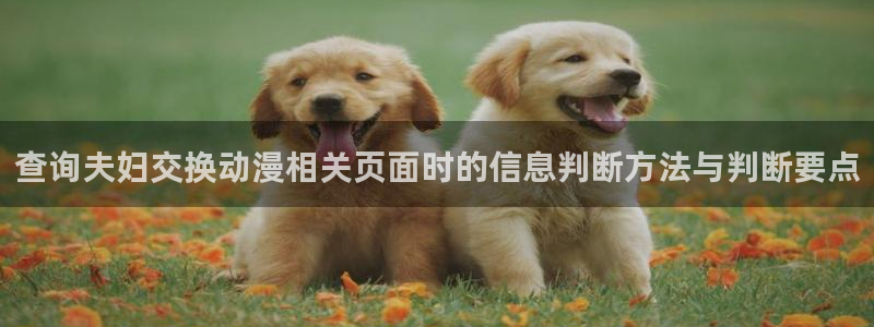 汗汗漫画人气作品推荐：查询夫妇交换动漫相关页面时的信息判断方法与判断要点配图