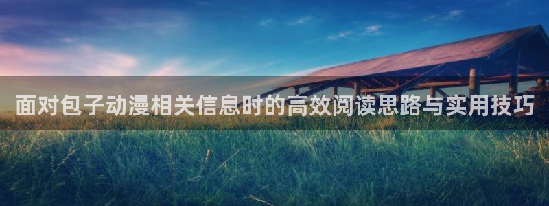 汗汗漫画排行榜前十:面对包子动漫相关信息时的高效阅读思路与实用技巧配图