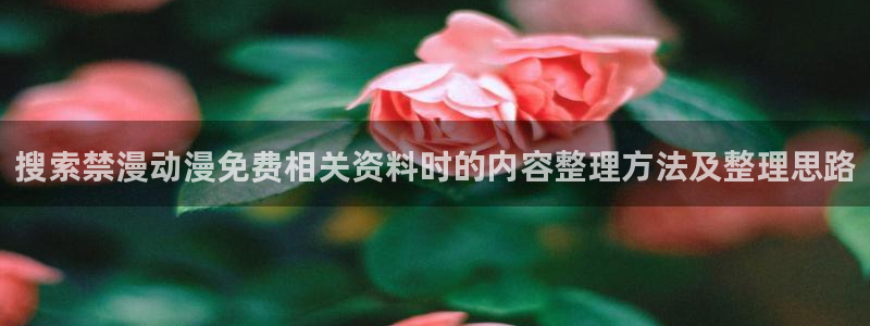汗汗漫画精选:搜索禁漫动漫免费相关资料时的内容整理方法及整理思路配图