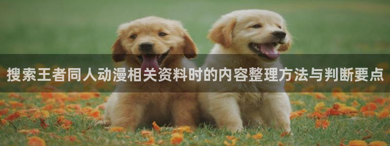 2026汗汗漫画排行榜：搜索王者同人动漫相关资料时的内容整理方法与判断要点配图