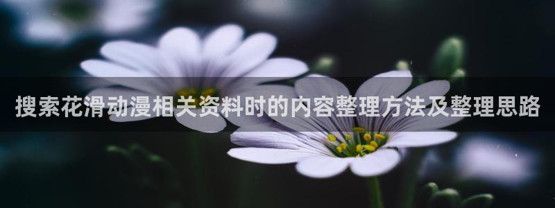 2026汗汗漫画连载：搜索花滑动漫相关资料时的内容整理方法及整理思路配图